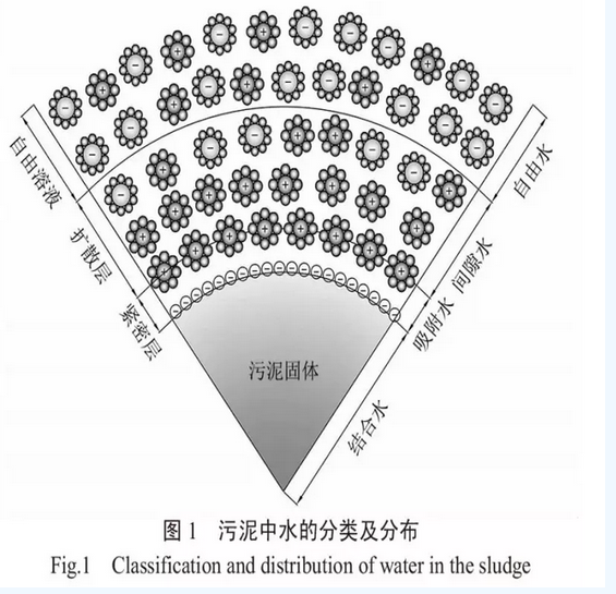 污泥脫水(shuǐ)研究現(xiàn)狀與新認識